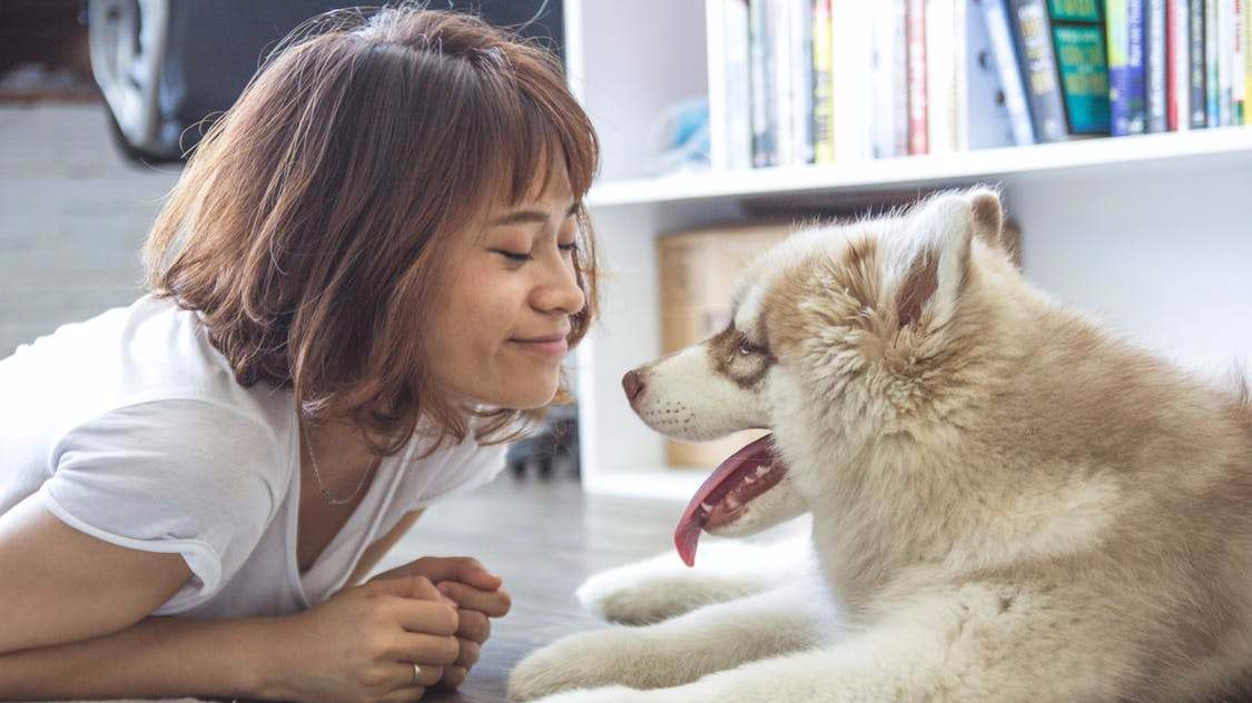 Relación con tu perro2-Dogminancia