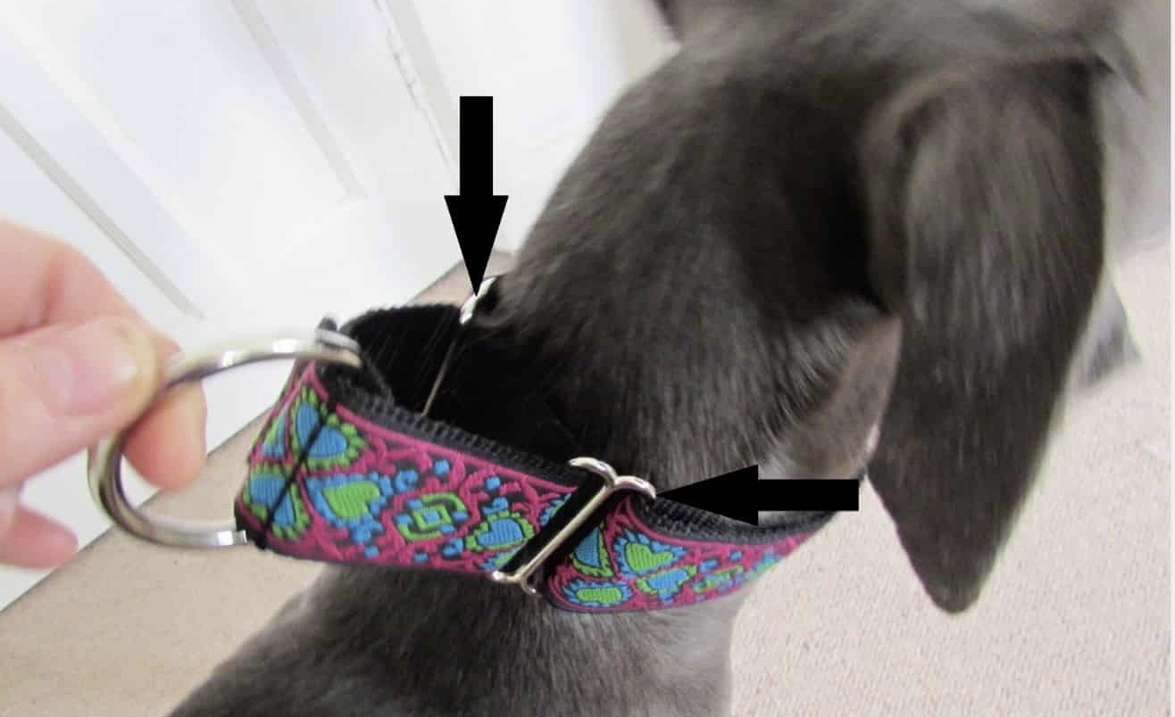 Martingale